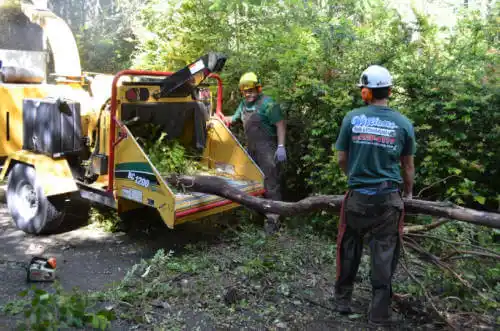 tree services Lava Hot Springs